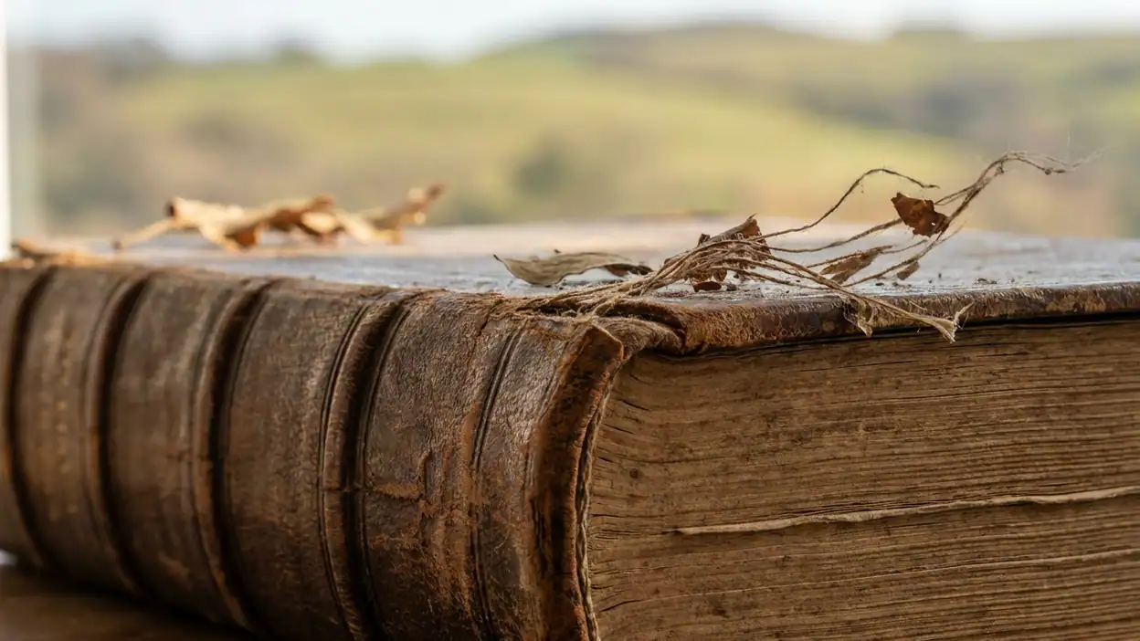 Unlocking the Freedom of Google Play Books' Offline Reading Mode