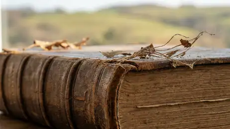 Unlocking the Freedom of Google Play Books' Offline Reading Mode