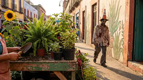 Perché Plants vs. Zombies™ Continua a Conquistare nel 2023