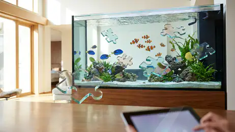 フィッシュダム(Fishdom)が魅力的な理由と競合との違い