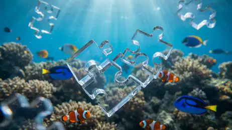 Waarom Fishdom Je Blijft Boeien: Een Unieke Puzzelervaring